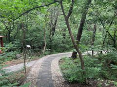 -阳台山自然风景区