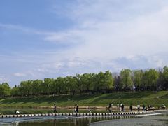 -洨河生态公园