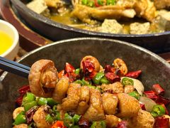 -老板恋上鱼(恒隆广场店)