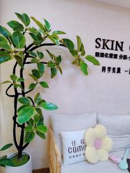 -佳慕·痘痘·问题肌管理中心