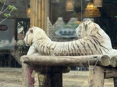 -郑州银基黄帝宫御温泉