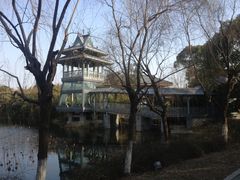 -金鸡湖桃花岛