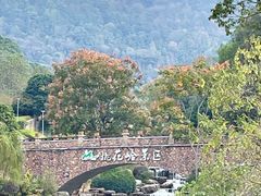 -桃花岭景区