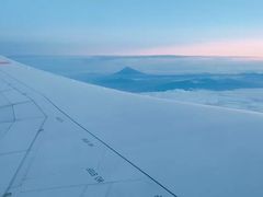 -全日本空输株式会社(上海办事处)