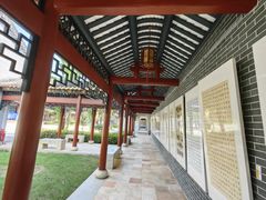 -顺峰山公园