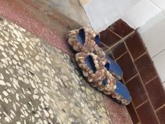 -白沙湾海滩