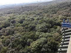 -灵谷景区