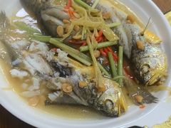 -肥弟大排档(汕樟路店)