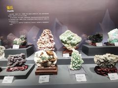 -湖南省地质博物馆