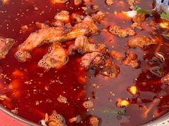 -中和远东火锅兔(老店)