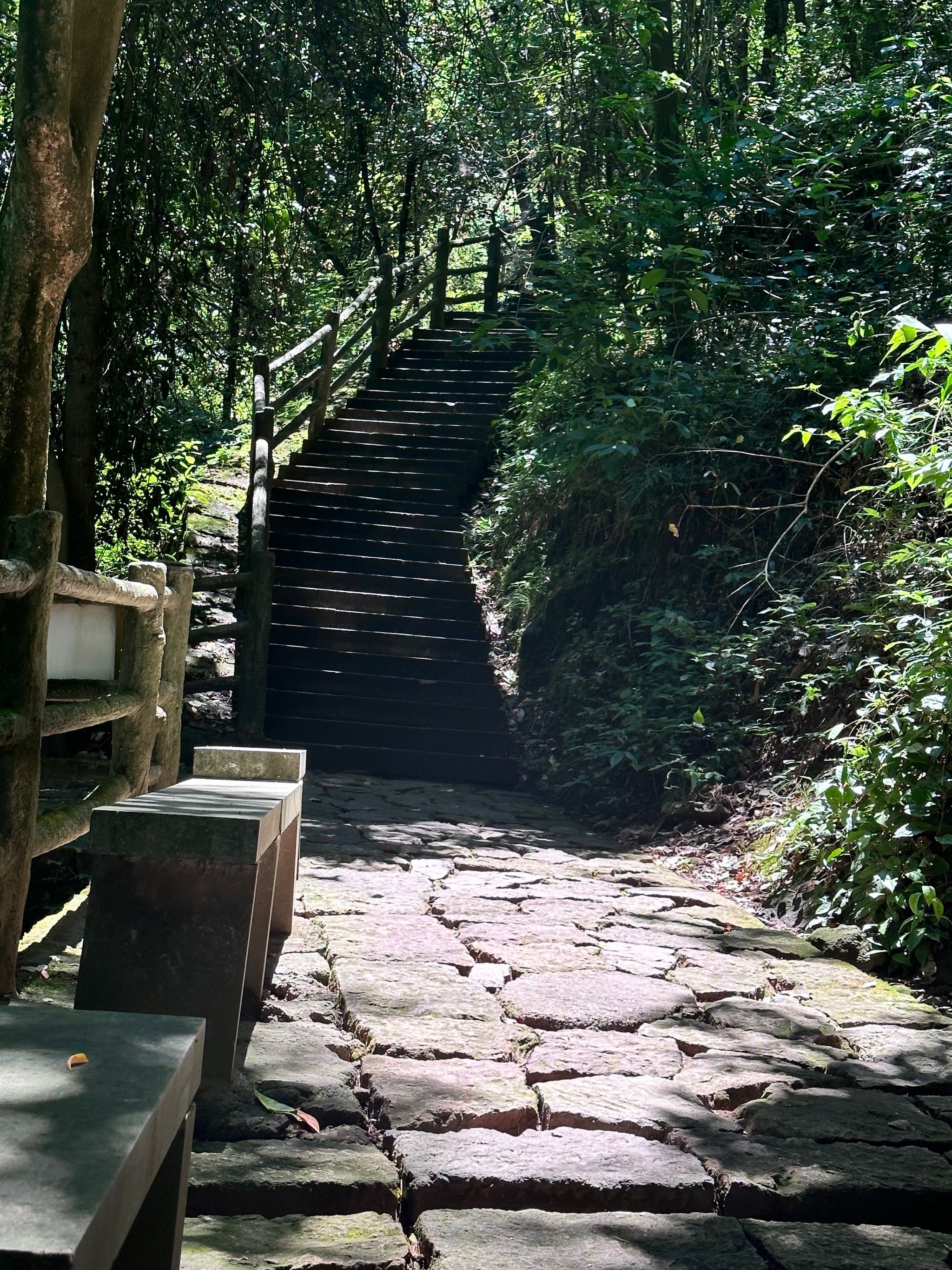 曲径通幽的山间路