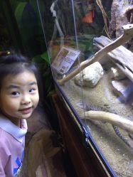 -酷嗒动物文化乐园(cutezoo西溪乐天城店)