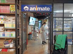 -Animate(工人体育场东路店)