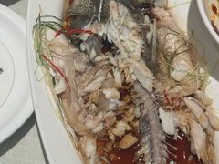 -京都饺子(双塔西街店)