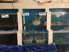 -胶东海鲜大排档(北太平庄店)