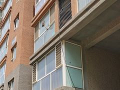 -平安丽景B区