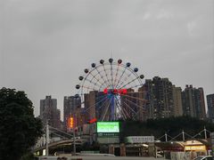 -重庆市奥林匹克体育中心-游泳跳水馆