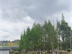 -白鹭湾湿地公园