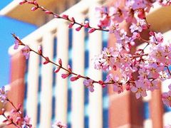 -吉林大学(前卫南区)
