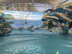 -上海野生动物园老虎餐厅