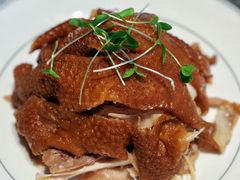 -阿五黄河大鲤鱼(纬三路店)