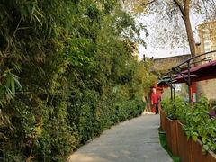 -万柳阁小馆·花园餐厅(龙潭湖店)