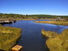 -塞罕坝国家级自然保护区