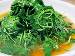 酒香金花菜-二十八里太湖船菜(吉祥路店)