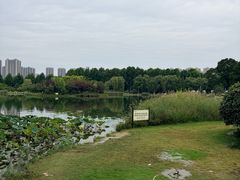 -郑州植物园
