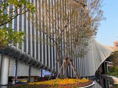 -Caidie Bakery采蝶轩(翠微店)