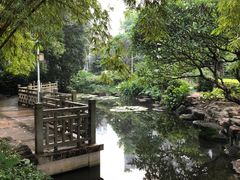 -晓港公园