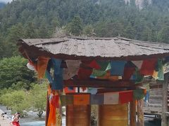 -九寨沟-树正沟