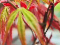 -上海爱以德护理院·康复(宝山院)