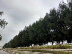 -宝安西湾红树林湿地公园