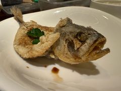 -万豪中餐厅·粤菜·北京粤财JW万豪酒店