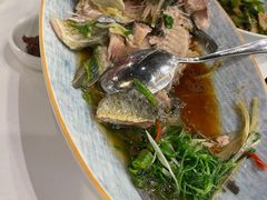 清蒸高背鲫鱼-围龙屋客家食府(福田店)