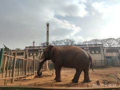 -昆明动物园