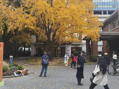 -上海瑞金洲际酒店
