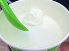 -Salud撒露欧洲冻酸奶(蓝色港湾店)