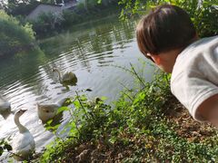 -张公山寨景区