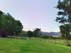 -牛岗山公园