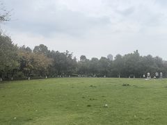 -成都南湖公园
