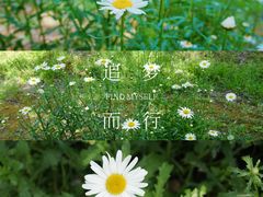 -鹅湖玫瑰文化园