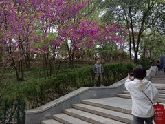 -西安市长乐公园