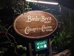 -卷心菜和避孕套餐厅(Pattaya)