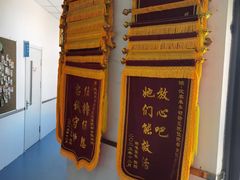 -派美特宠物医院·核磁CT·骨科肿瘤·疑难转诊(沈农禾丰店)