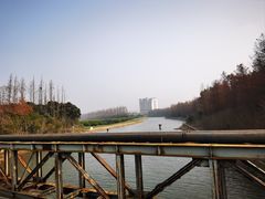-上海长兴岛郊野公园