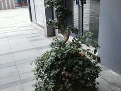 -宁海食府(大剧院店)