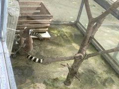 -水绘园