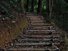 -广州市帽峰山景区